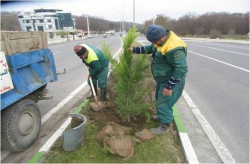 طرح کاشت ٥٥٠٠ اصله  درخت در سطح شهر گرگان